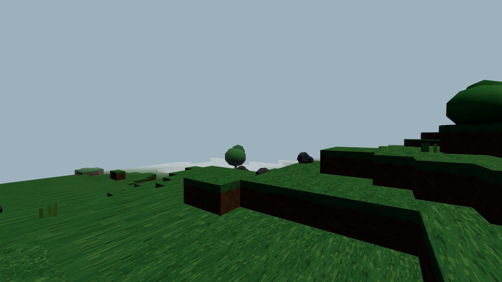 Forest edge — in-game capture